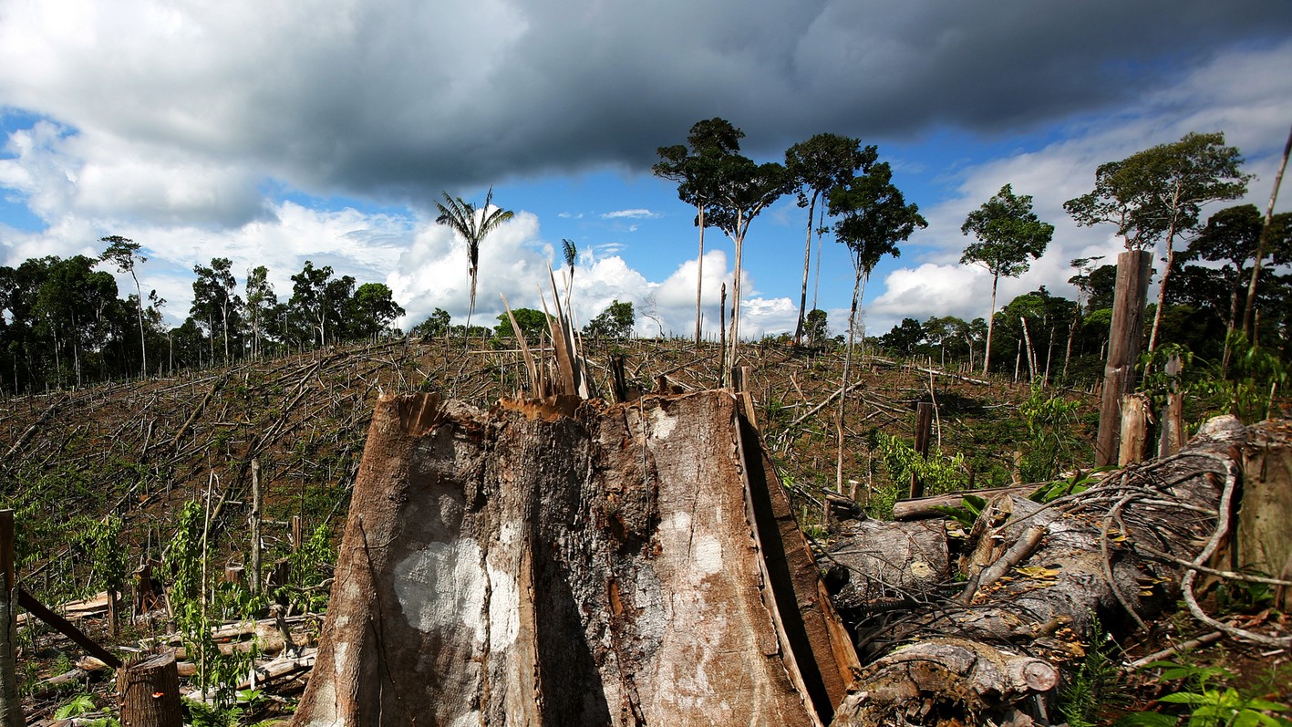 Как леса Амазонии влияют на жизнь жителя Екатеринбурга? Невероятно, но факт